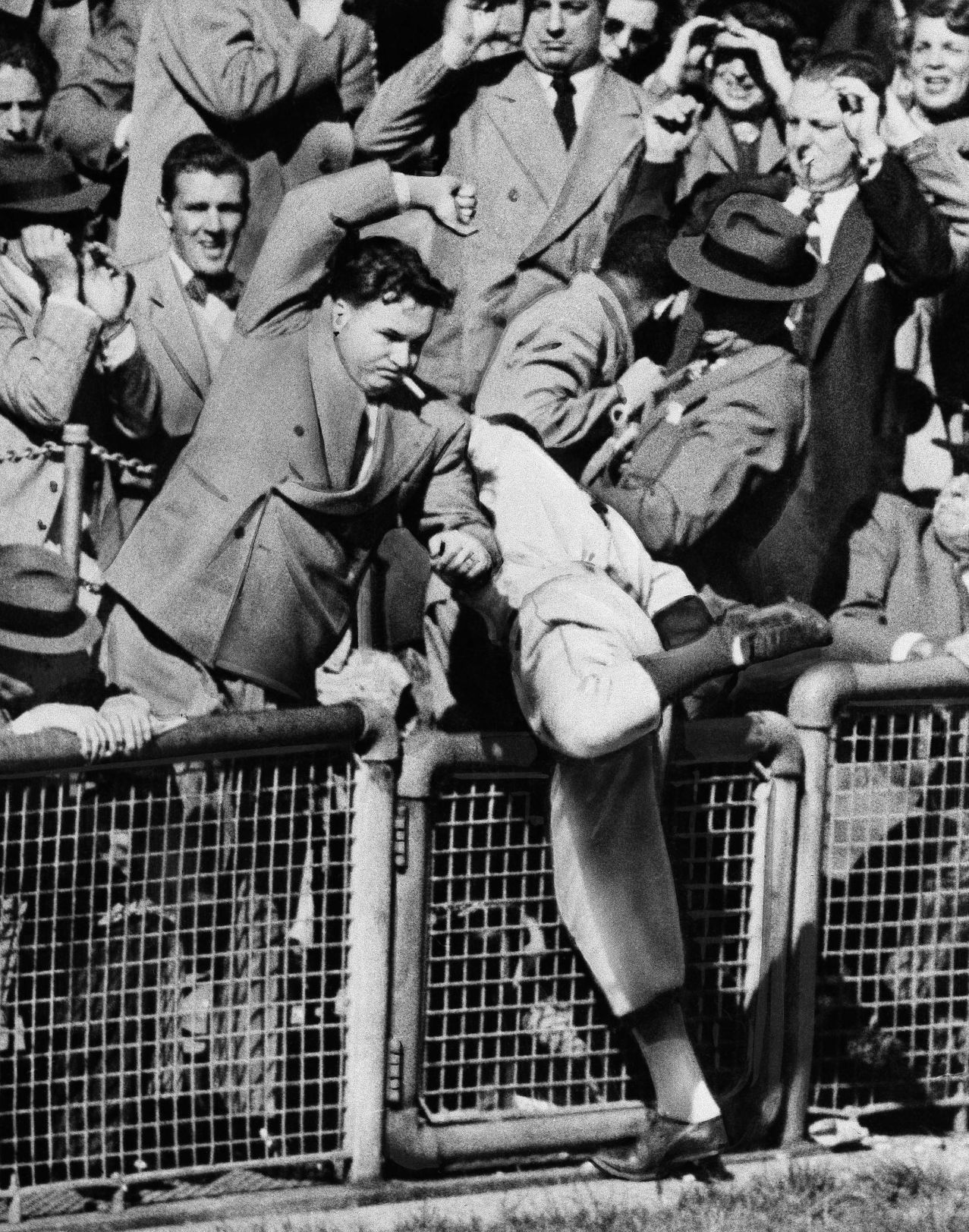 Billy Cox goes into the stands